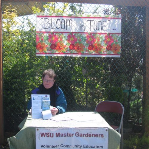 WSU Master Gardener at Judy’s Enchanted Garden